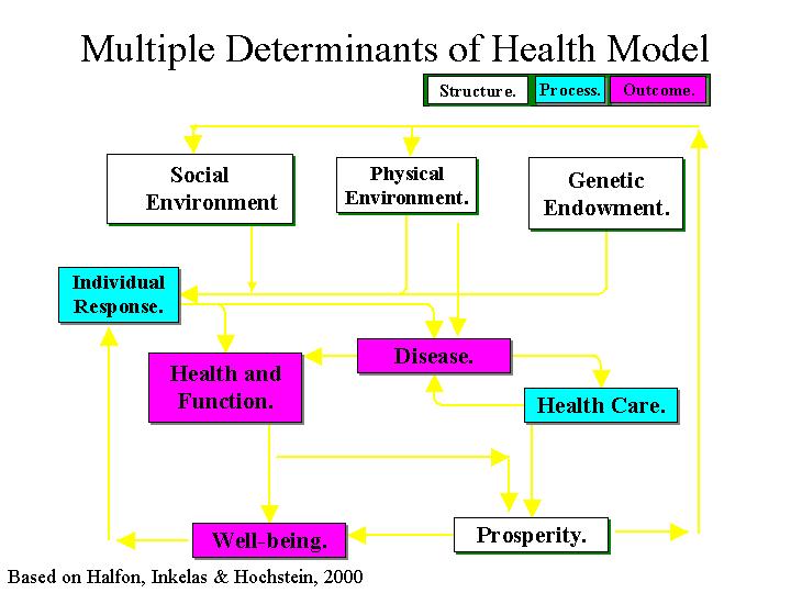 Health Model