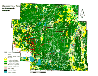 Classified Landsat Image with Anthropogenic Footprint Overlay in the Wabasca Study Area, Click to Enlarge