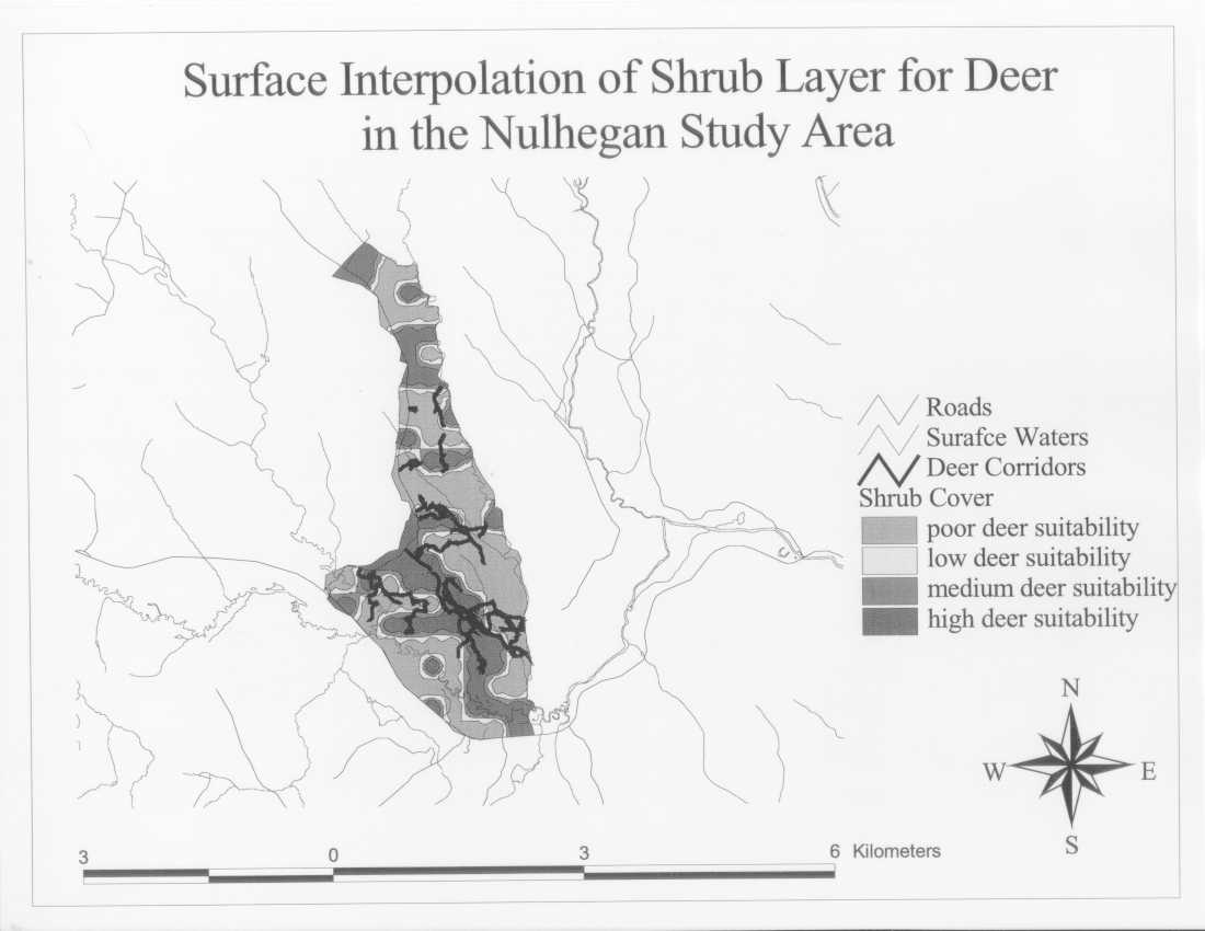 Surface Interpolation of Shrub Layer for Deer in the Nulhegan Study Area
