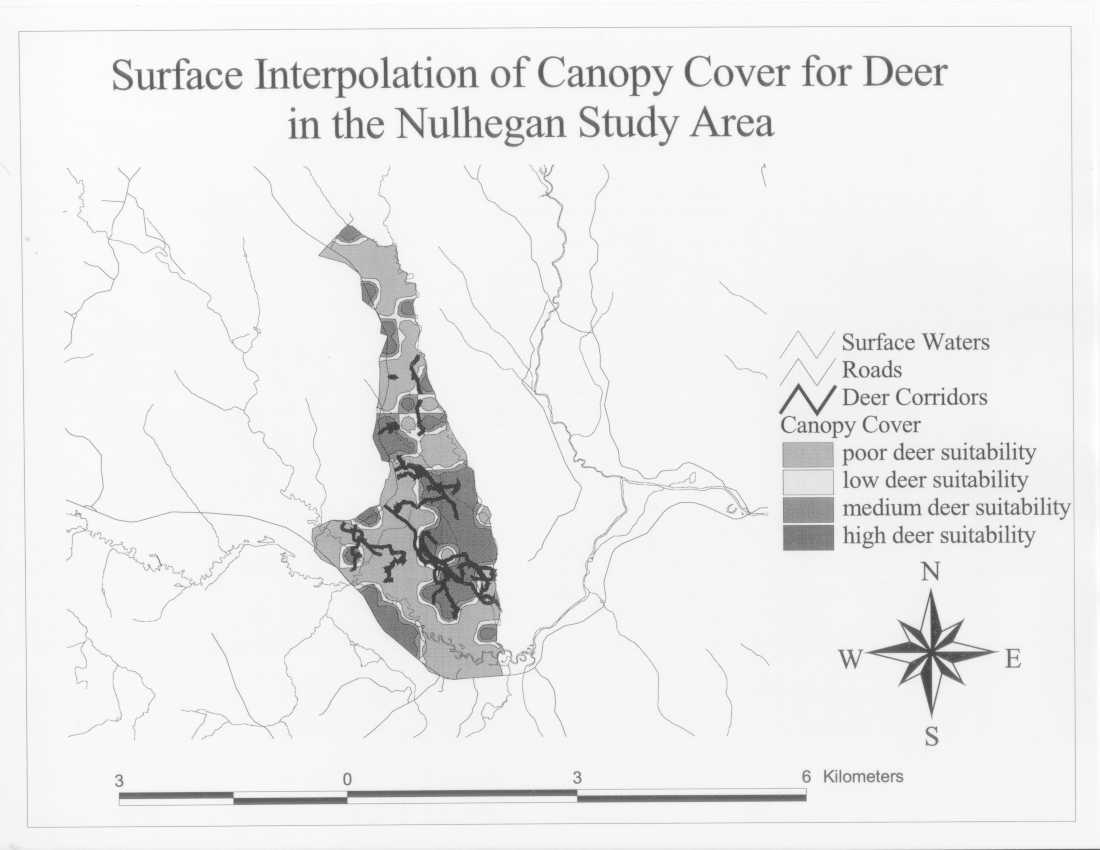 Surface Interpolation of Canopy Cover for Deer in the Nulhegan Study Area