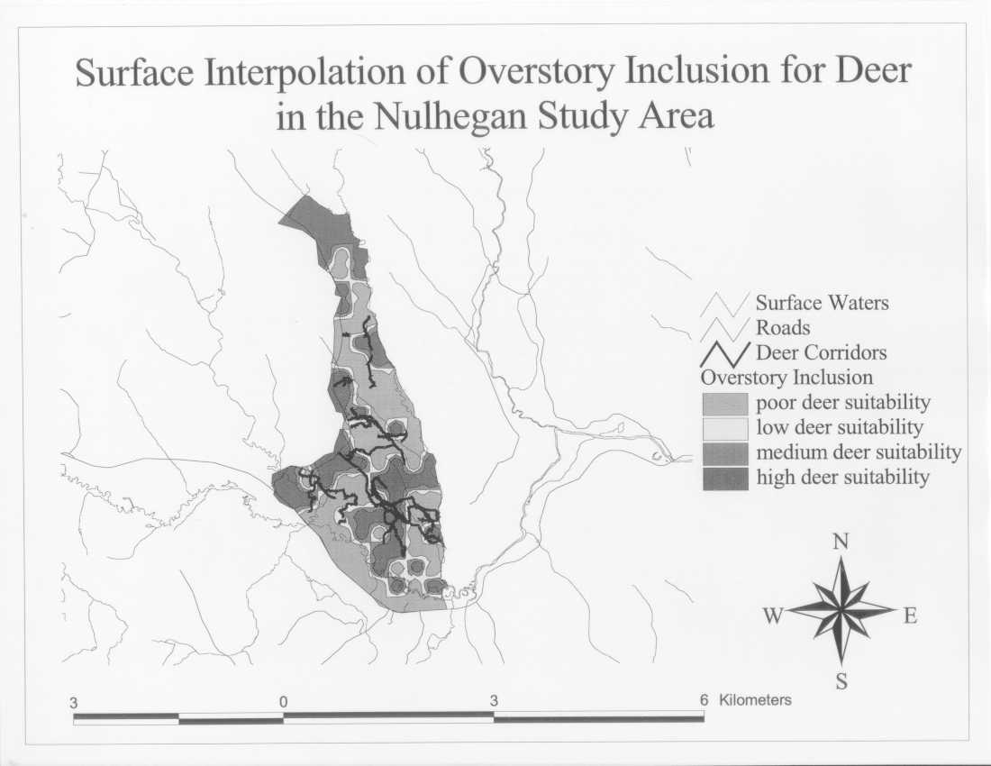 Surface Interpolation of Overstory Inclusion for Deer in the Nulhegan Study Area