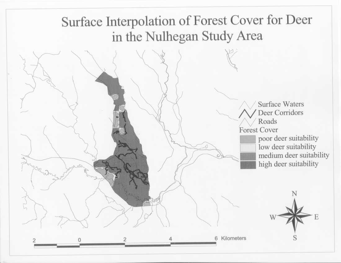 Surface Interpolation of Forest Cover for Deer in the Nulhegan Study Area