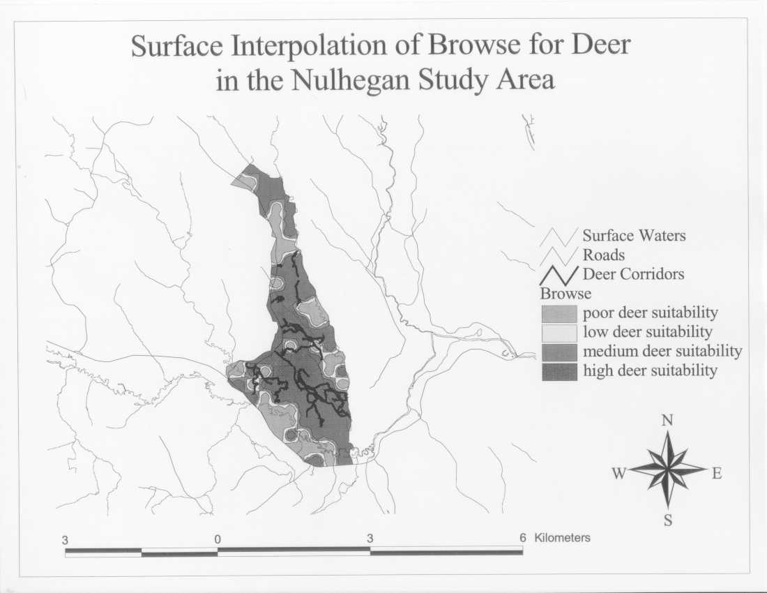 Surface Interpolation of Browse for Deer in the Nulhegan Study Area