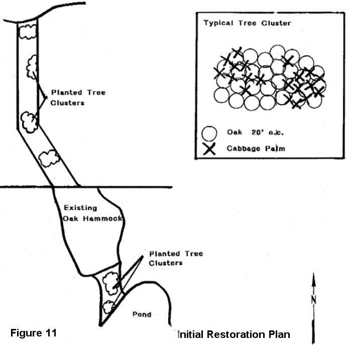 Consultant's Restoration Plan