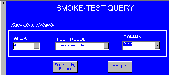 Figure 4: Database Interface Form For Smoke Testing Data