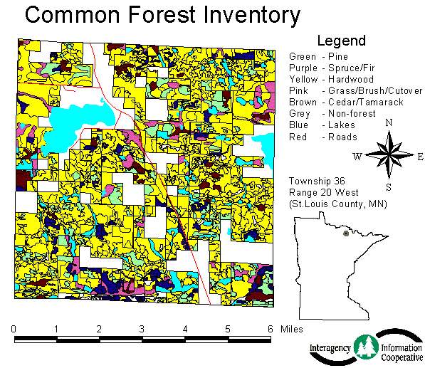 Figure 2. Map of forest inventory data, cover types.