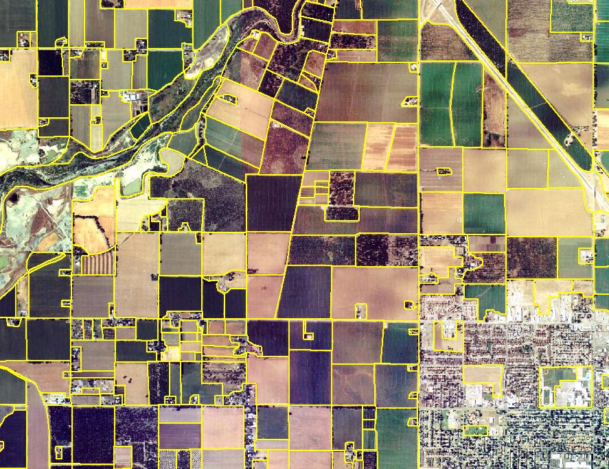 Revised Field Border Coverage Over CDWR Aerial Imagery