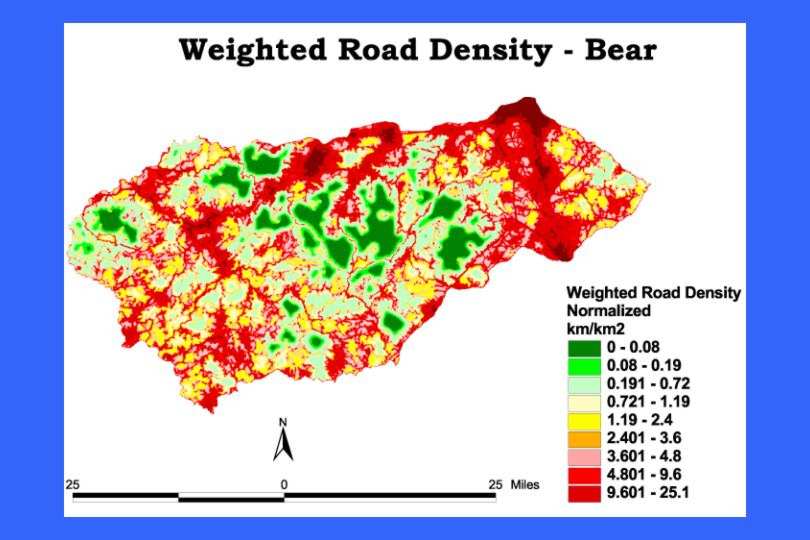 The final Weighted Road density for Bear