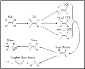 Reductive Dehalogenation of Chlorinated Ethenes