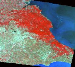 Georeferenced Landsat TM Image