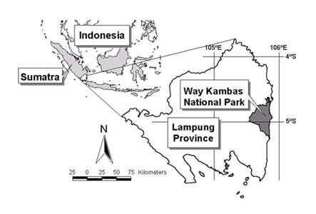 Location of Way Kambas National Park