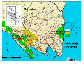 Tiger habitat in Lampung