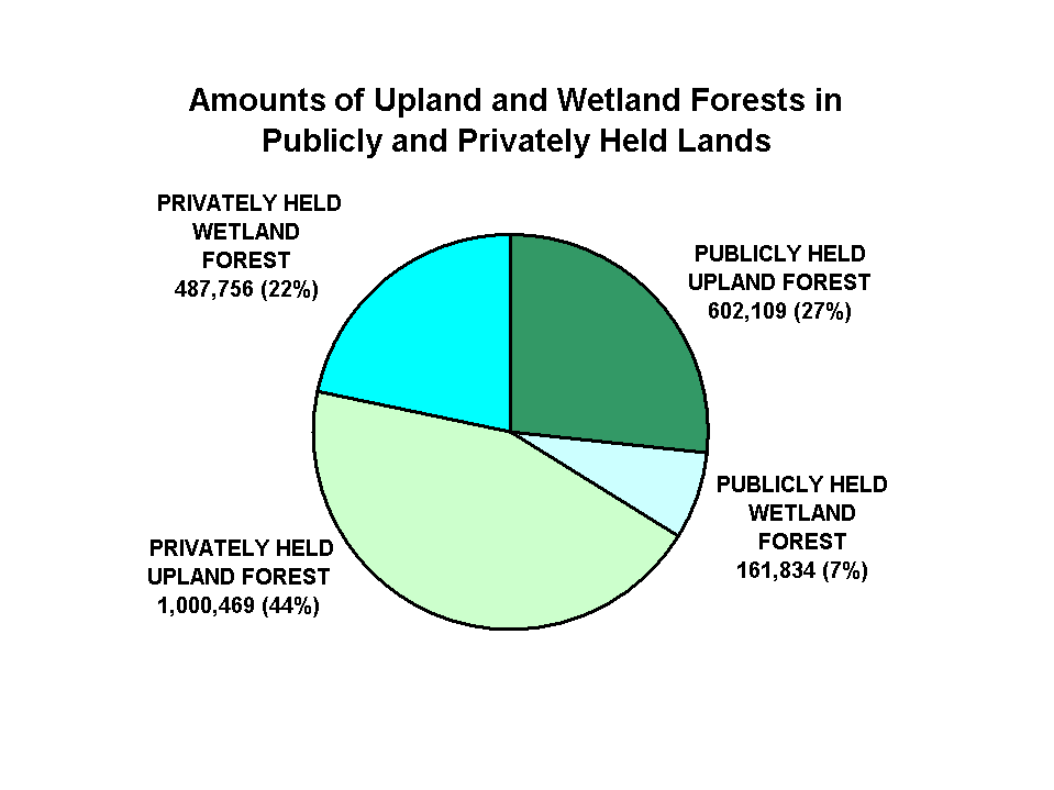 Publicly and Privately Held Forests