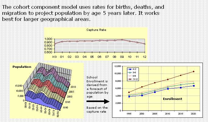 Figures for cohort model