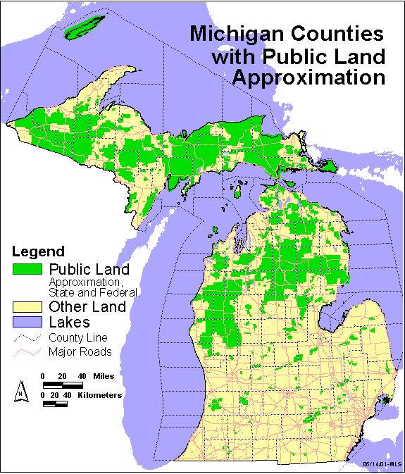 Figure 2: General locator map of Michigan