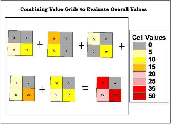 Value Grid Process