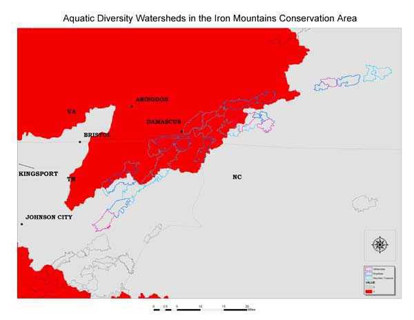 Iron Mountains Aquatic Diversity Watersheds