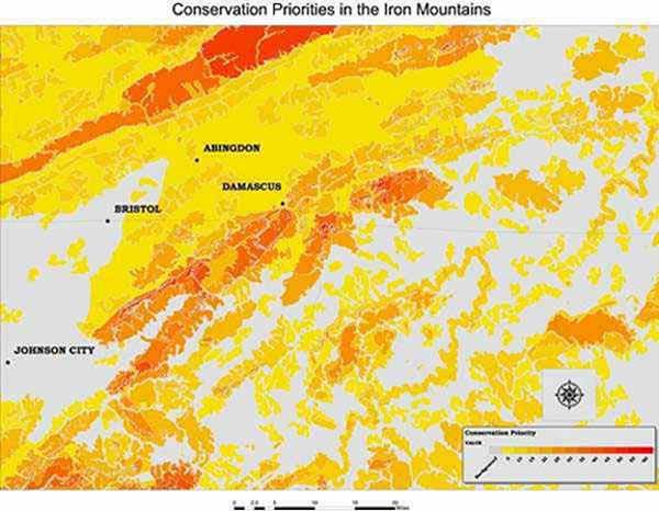 Iron Mountains Conservation Priorities