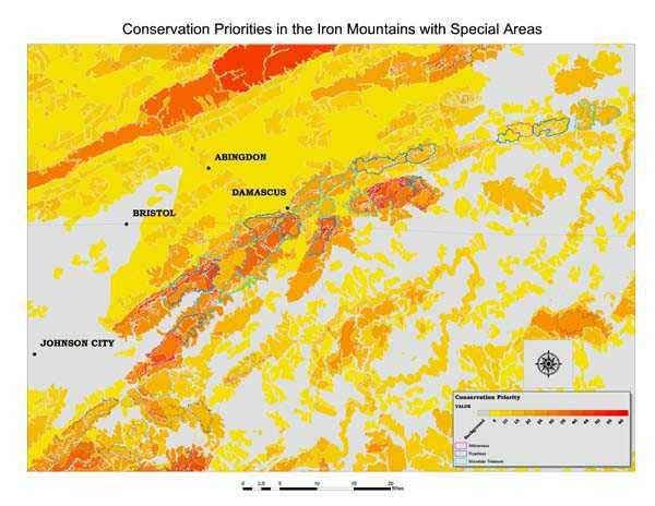 Iron Mountains Conservation Priorities with Special Areas
