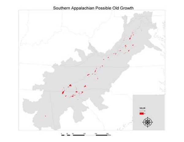 Southern Appalachian Possible Old Growth