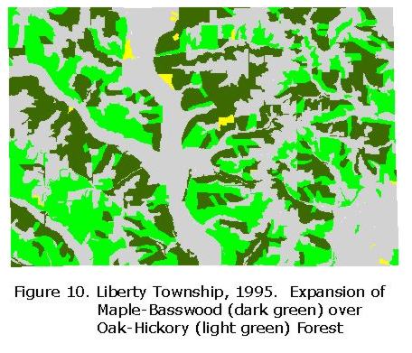 Figure 10. Liberty Township, 1995 Expansion of Maple-Basswood over Oak-Hickory Forest