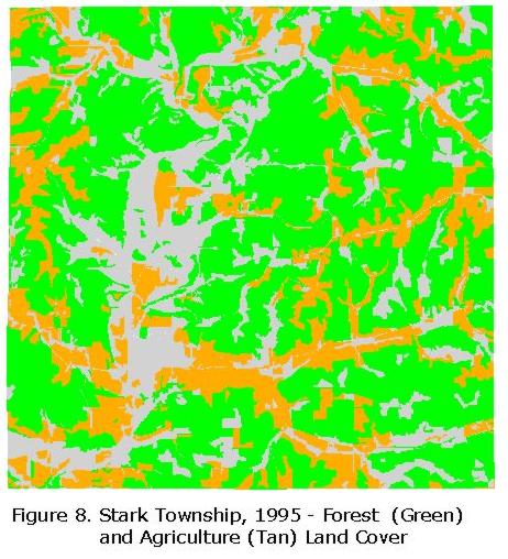 Figure 8. Stark Township, 1995 - Forest and Agriculture Comparison