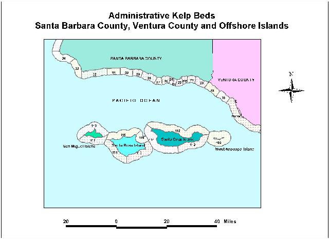 Admin Kelp Bed Sample