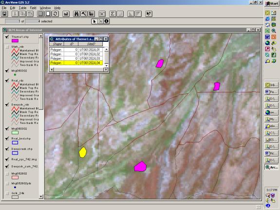 ArcView field data collection tool with TM imagery as backdrop