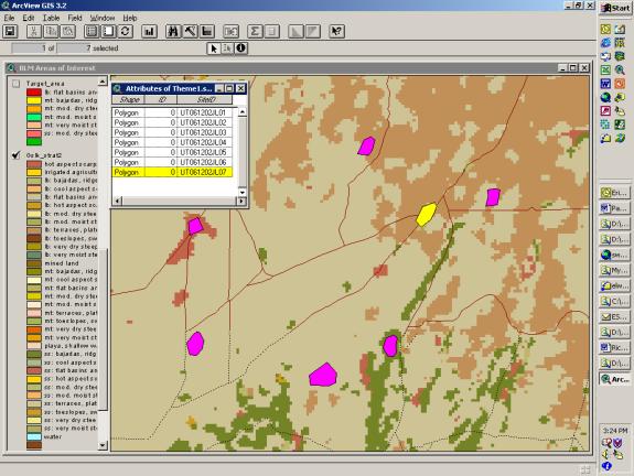 ArcView field data collection tool with landform stratification 