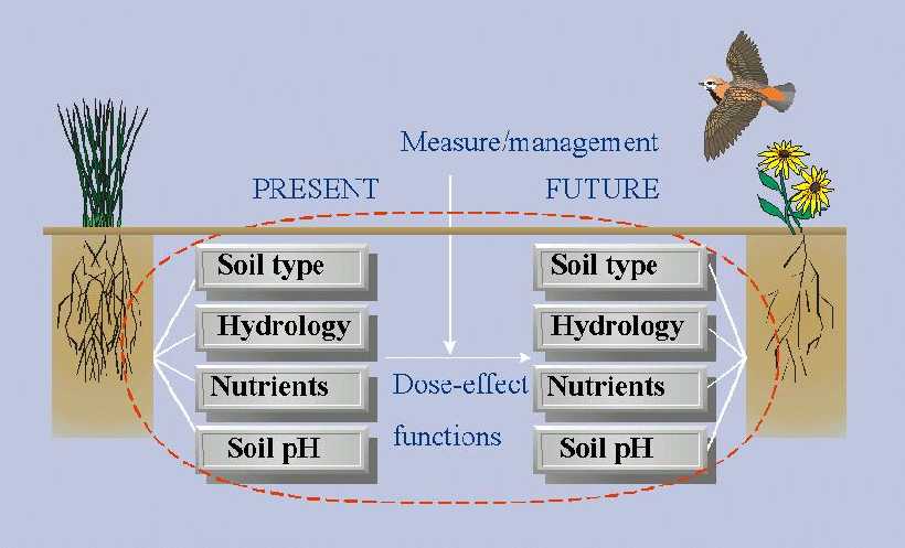 Diagram illustrating ecological concept of NICHE