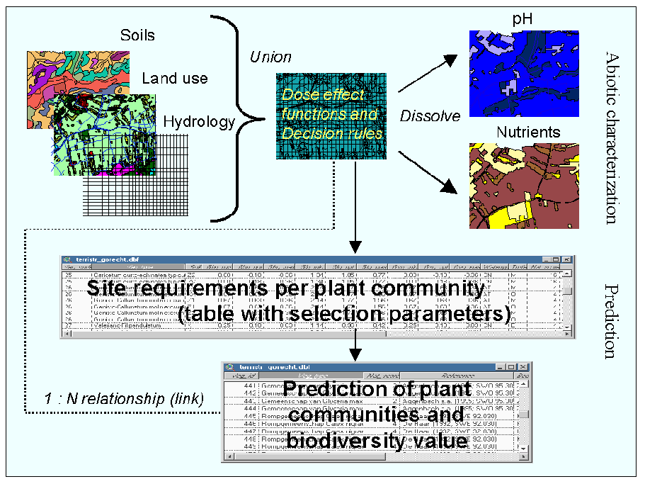 Diagram illustrating general structure of NICHE