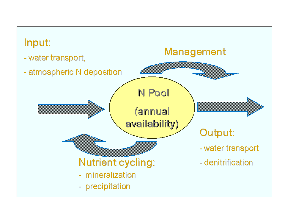 Concept of dynamic nutrient modeling