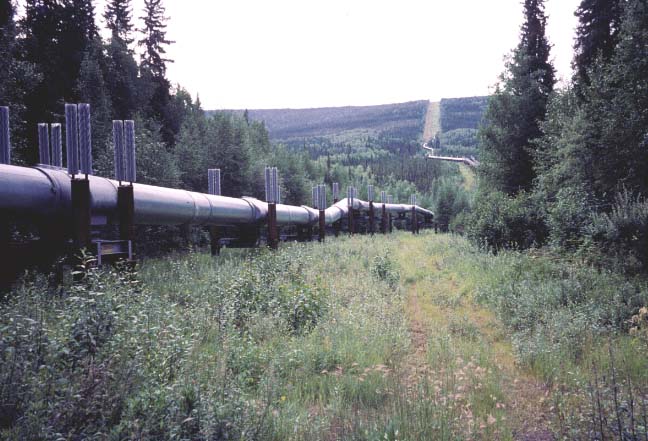 Photograph of the pipeline