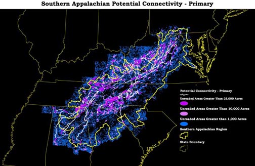 Primary Connectivity between Unroaded Areas Greater than 25,000 acres