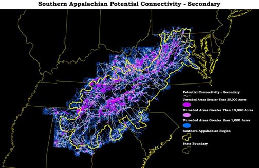 Secondary Connectivity Between the GT 25,000 Areas and the 10,000 - 25,000 areas