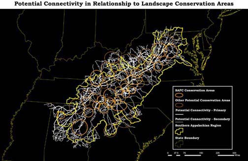Potential Connectivity in Relationship to Landscape Conservation Areas