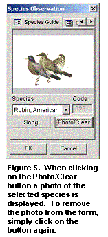 Figure 5.  The user may user the form to not only collect observations, but use the form as a reference key for wildlife species identification.