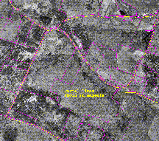 Ownership & Roads Displayed with the
Orthophoto Image