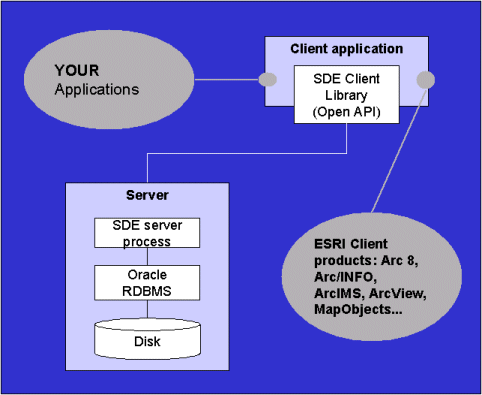 dbms. Oracle DBMS server between