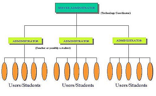 Management Hierarchy Structure