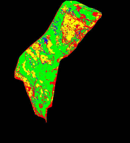 Figure 3.  Unsupervised classification of the Landsat TM imagery.  Blue-Water, Red-Bare Soil, Yellow-Grass, Green-Brush and Trees.