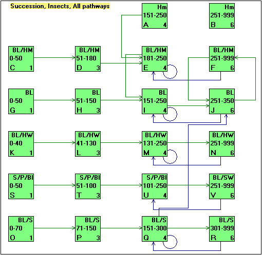 Example vegetation pathway diagram for one ecological zone