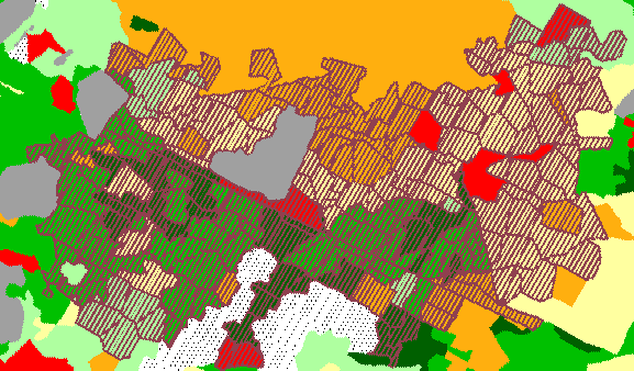 Example of a large fire simulated in the TELSA model