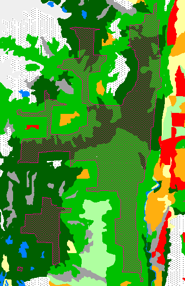 Close-up of a section of a landscape with a patch of interior old growth habitat