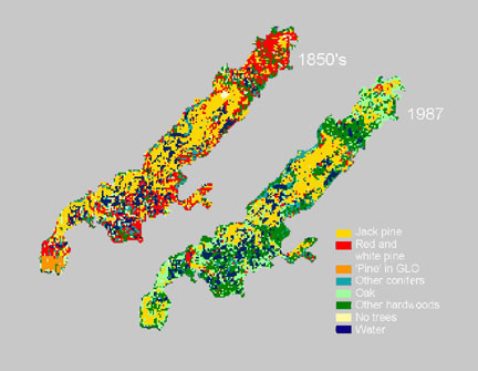 Forest change, 1850-1990