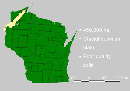 Pine Barrens region of northwestern Wisconsin