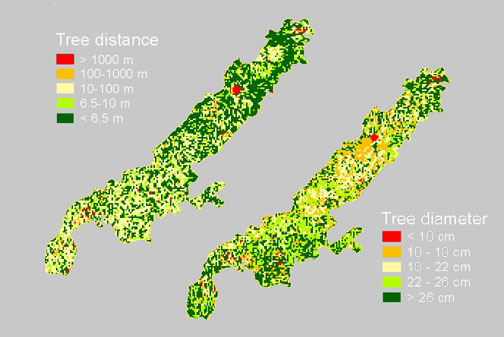 Witness tree distance and diameter