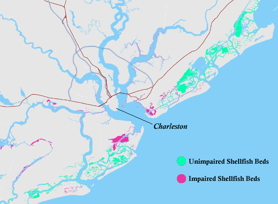 Shellfish Beds in the Charleston Area