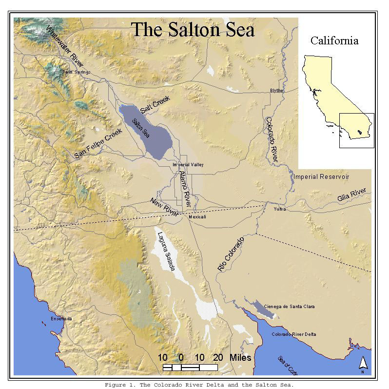 The Colorado River Delta and the Salton Sea