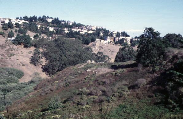 Glen Canyon Park